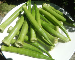 A plate of Okra