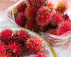 Rambutan Fruit